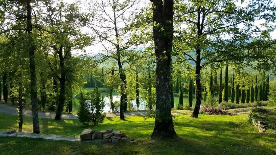 Holiday House Le Selvole ラッダ・イン・キアンティ 部屋 写真